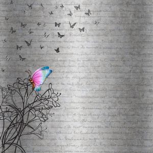 fondo poesia mariposa
